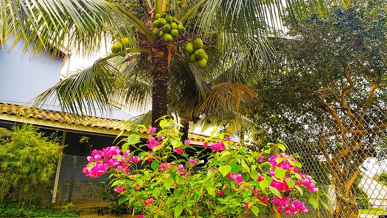 Casa Paradisíaca na beira da praia | ROMN14