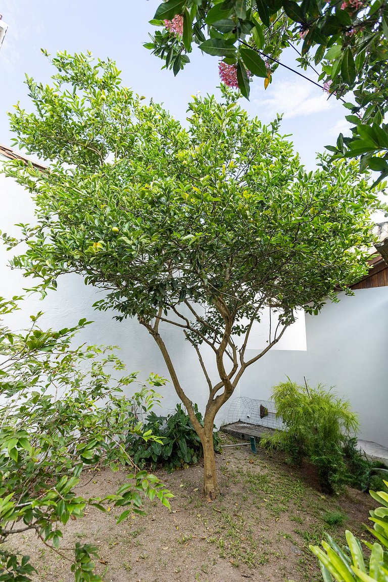 Casa encantadora em Geribá | BZR13